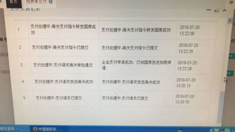 新一代稅費(fèi)電子支付系統(tǒng) 常見問題與解決方案匯總